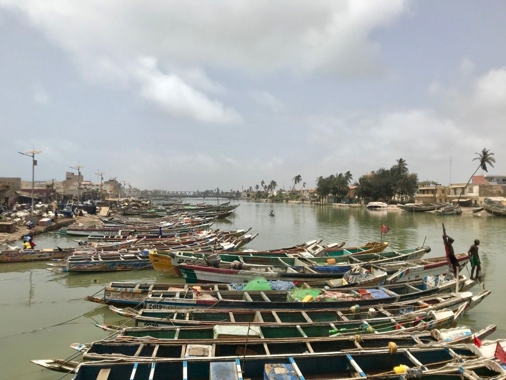 Le piroghe dei pescatori sul fiume Senegal