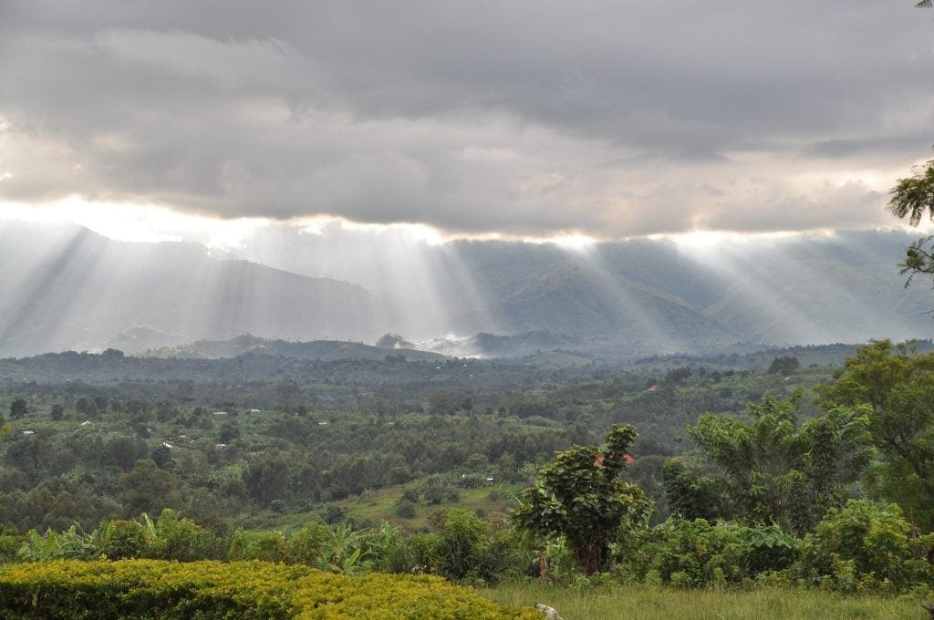 Uganda viaggio Rwenzori