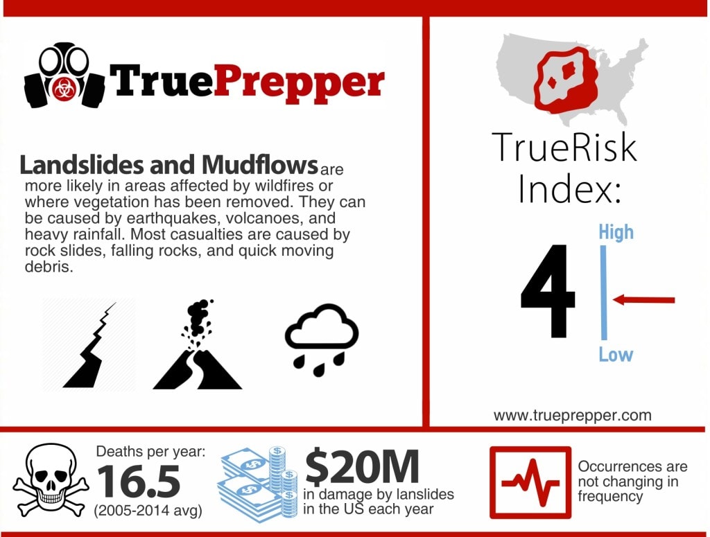 Landslide Infographic