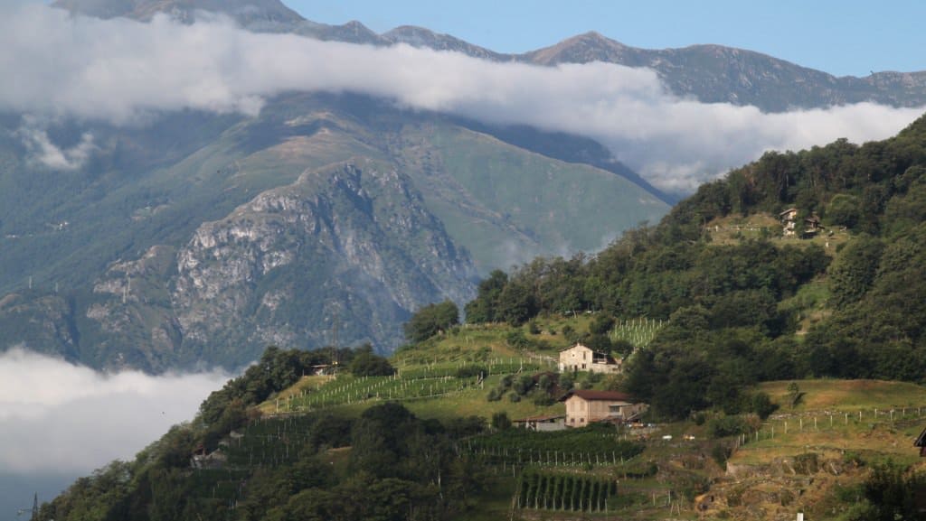 Produção vinícola nas encostas das montanhas na Lombardia