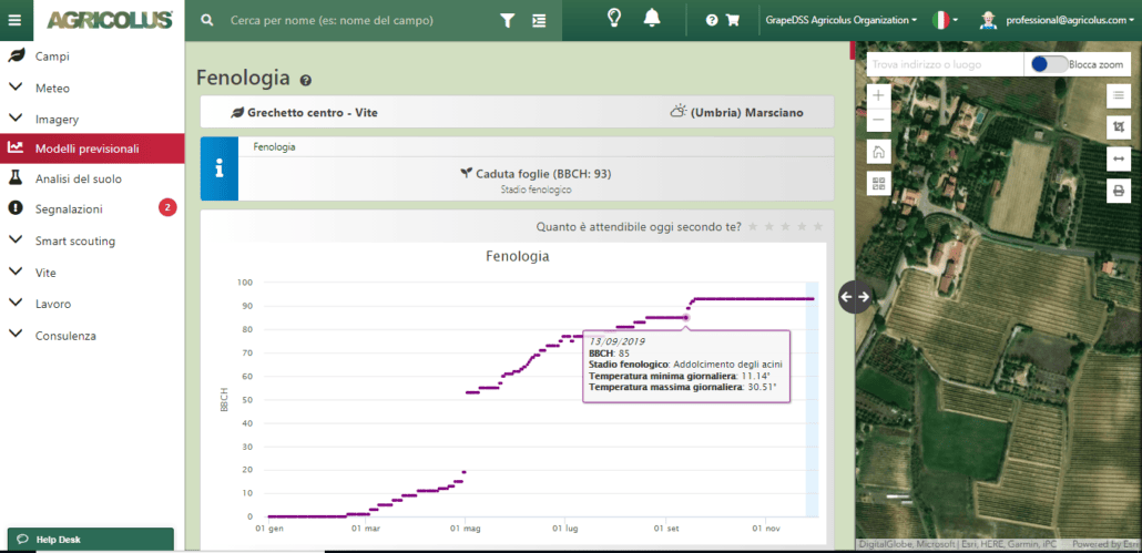 Fenologia vite con scala BBCH