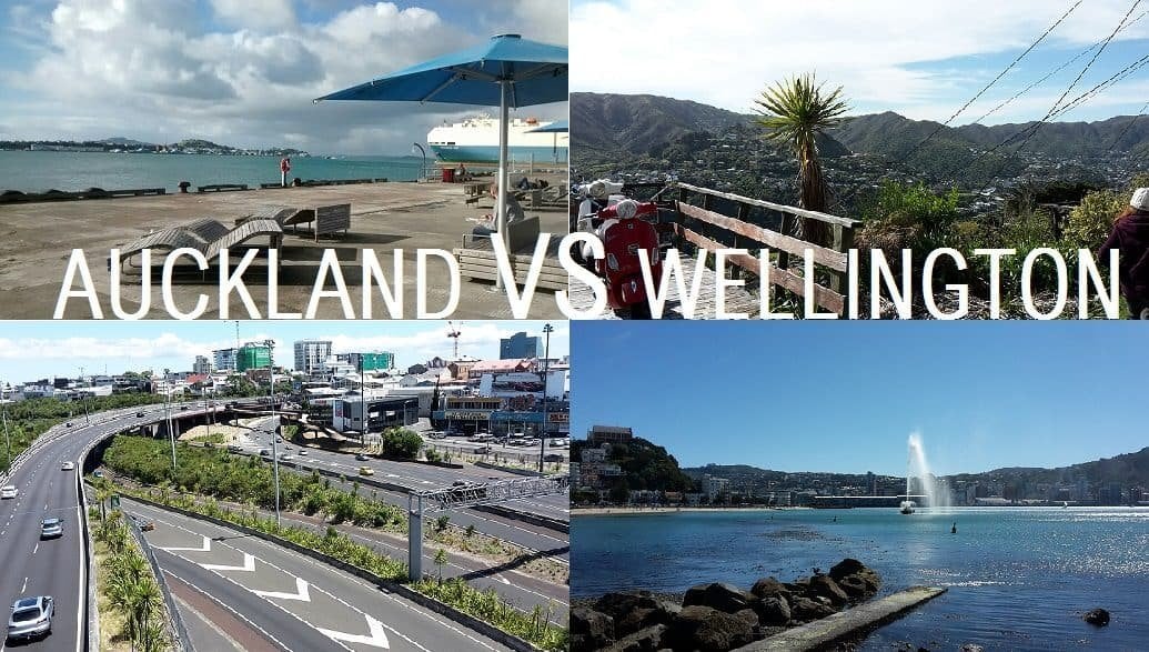 going nz