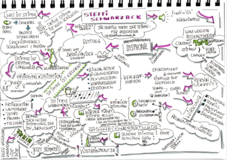 Sketchnote zum Thema Stimme