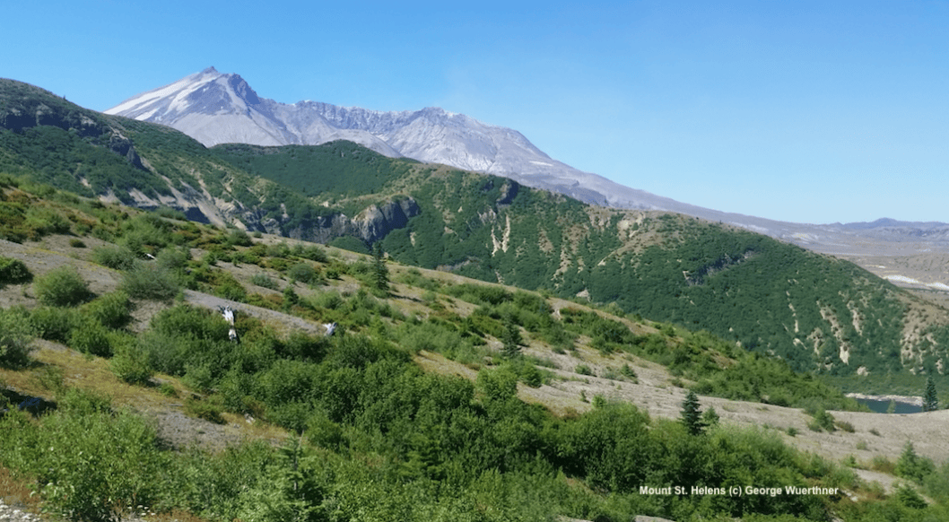 Mount St. Helens (c) George Wuerthner Mount St. Helens (c) George Wuerthner