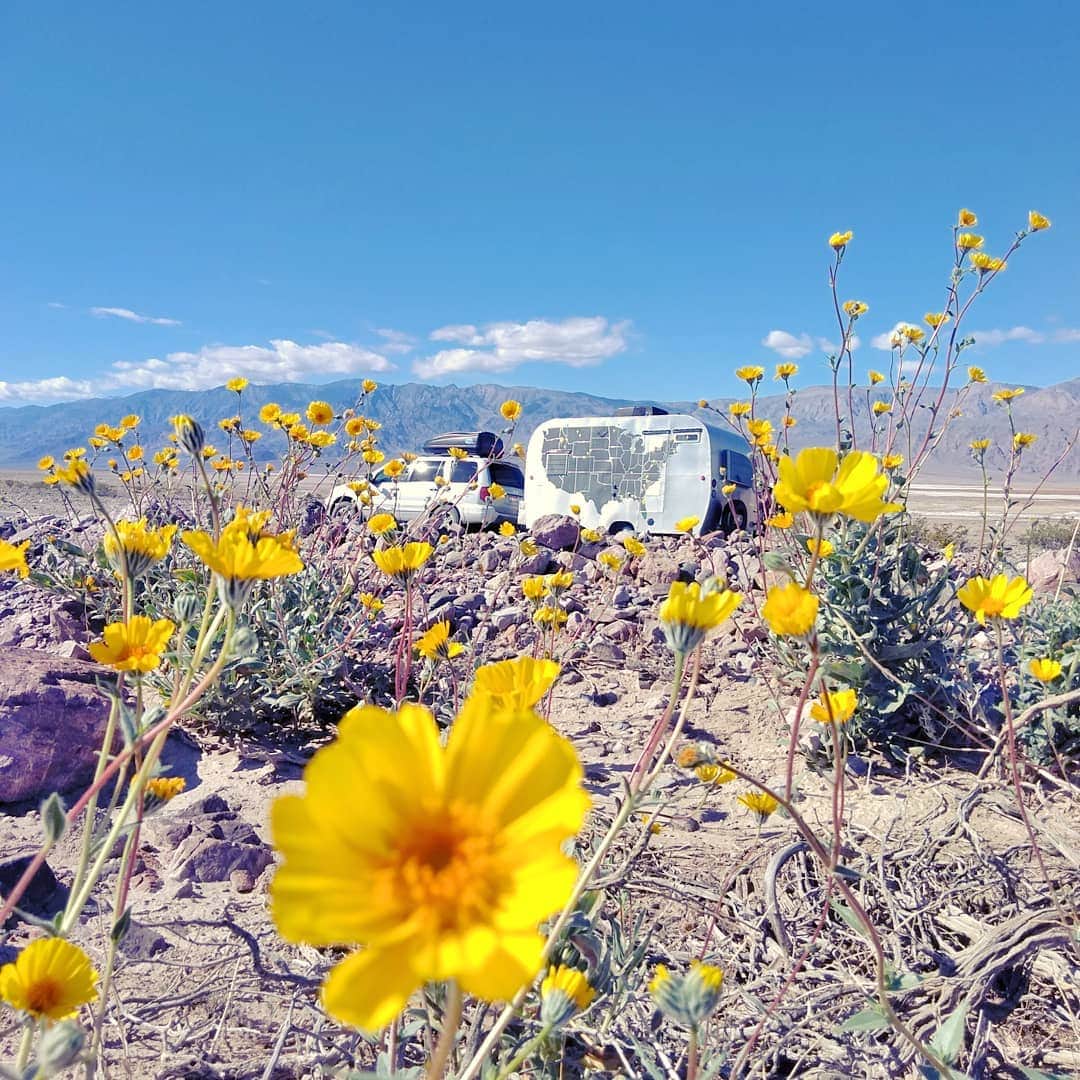 Spring in Death Valley NP