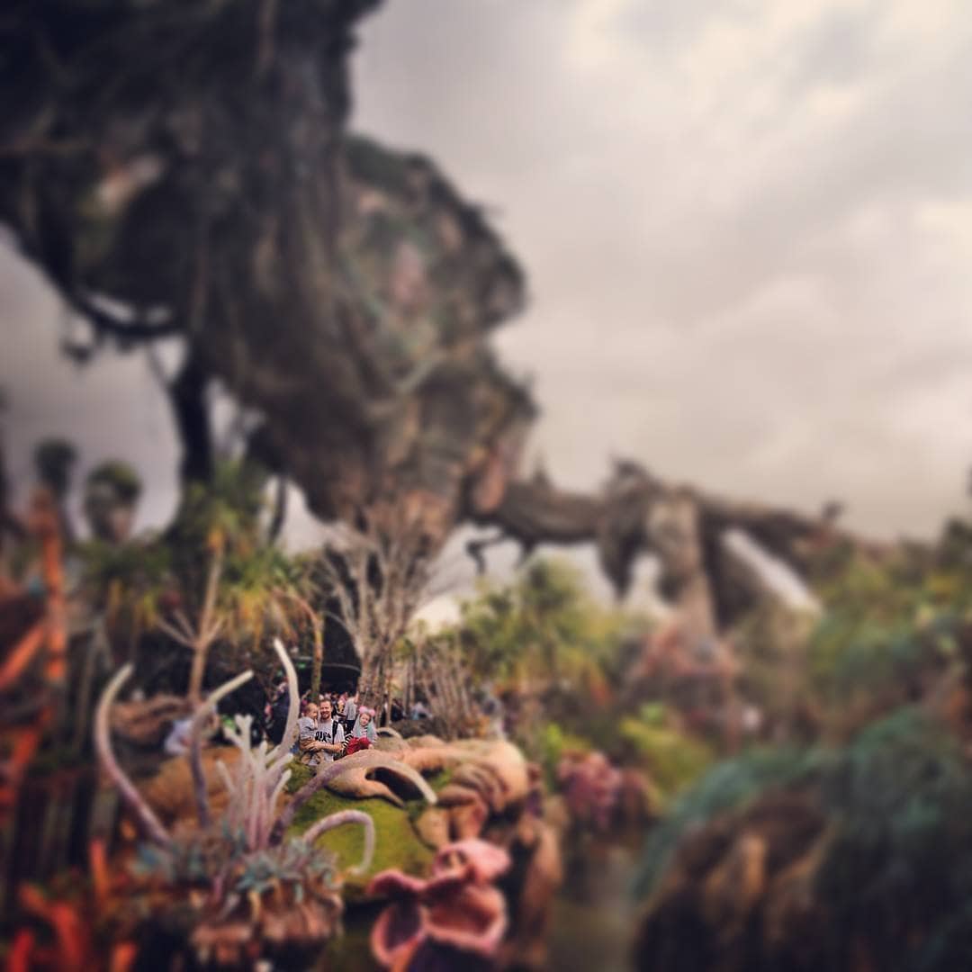 Amazing Disney.