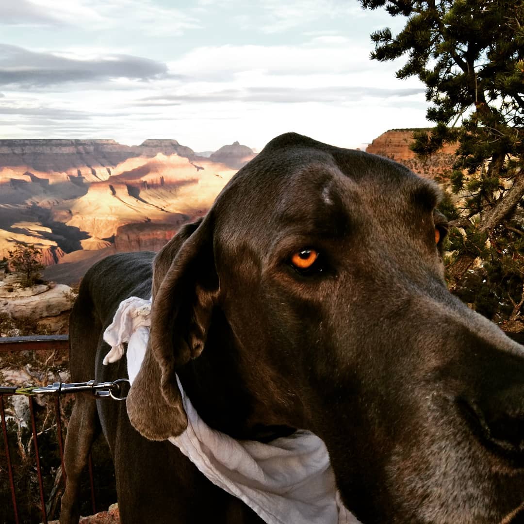 making the dog pose :)