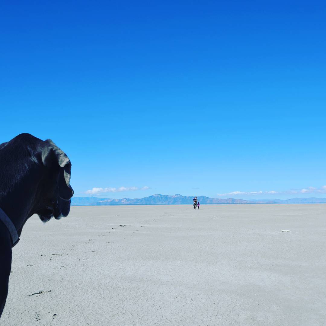 Great Salt Lake