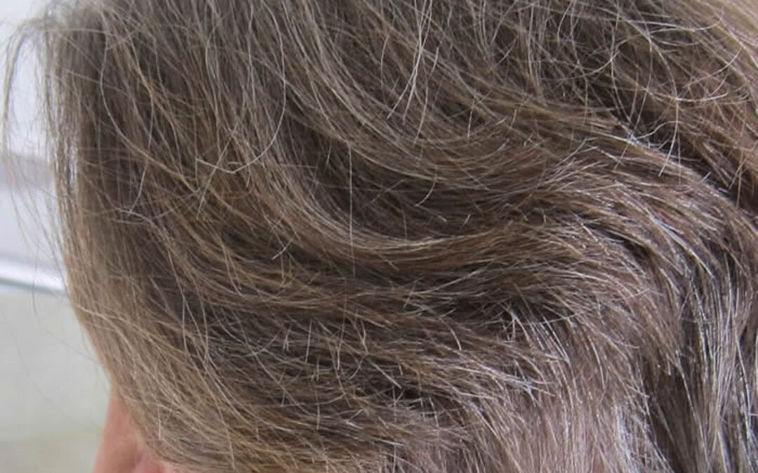 How To Transition Into Gray Hair Elaine S Journey From Colored