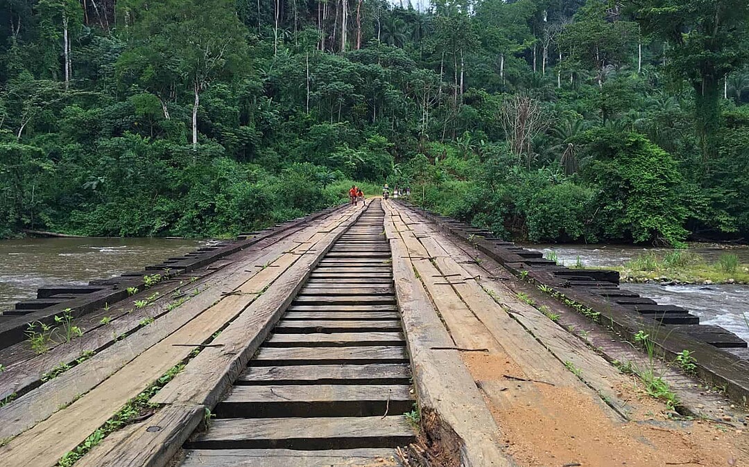 BANCK Community Forest in Forest Corridor Approved by Cameroon Government