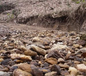 Pleistocene Carbondale.