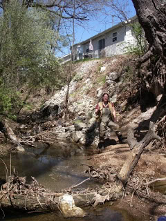 Saving trees in an incised urban stream.