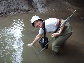 Our Lily is published in the journal Water, Air, & Soil Pollution