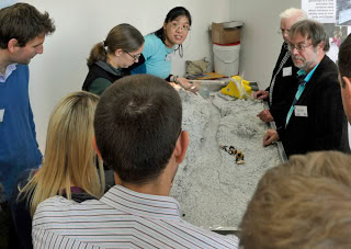 Our Lily in the UK, at the Towards a Living North Sea conference
