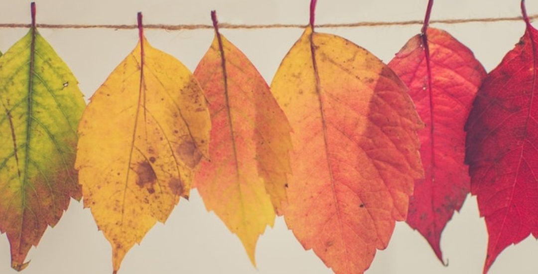 The Ten Things You Need To Know To Lead Change Effectively