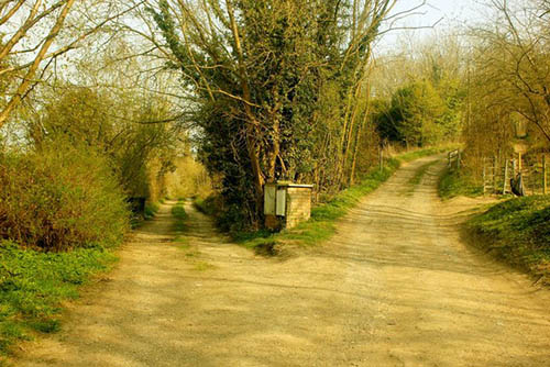 Finding the path…