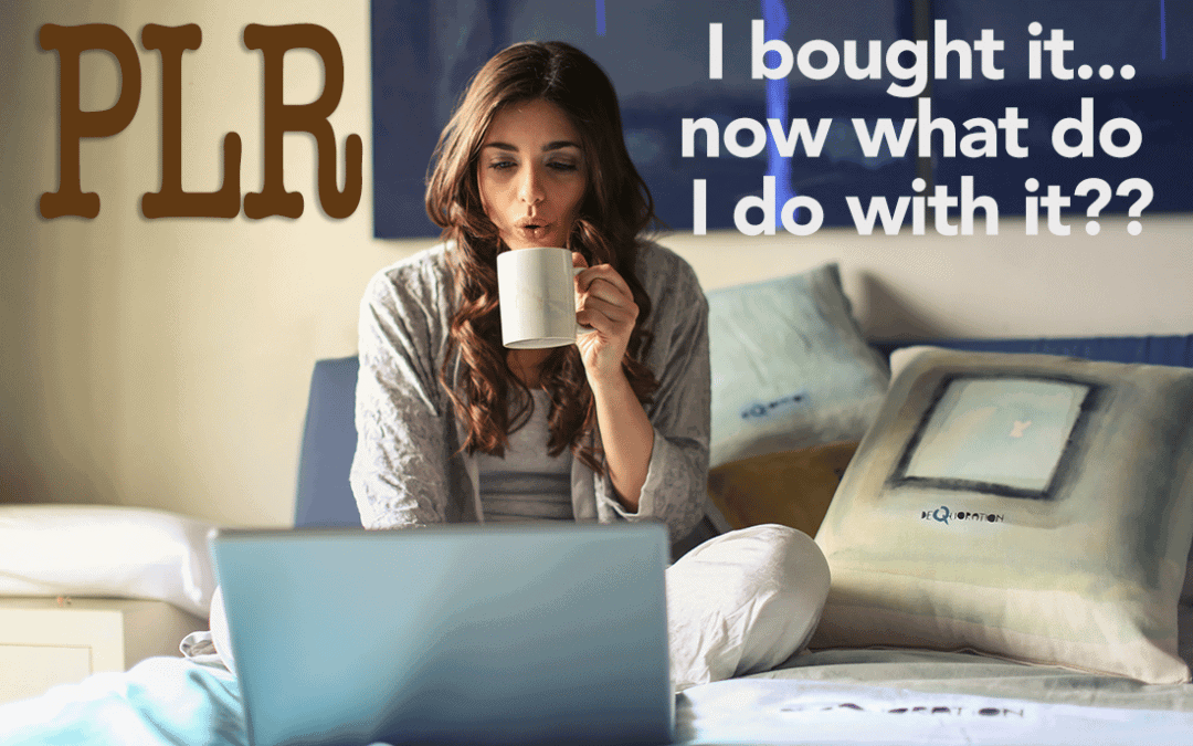 10 Unique Ways To Use Your New PLR To Drive Traffic To Your Website