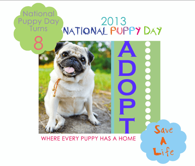 Celebrate National Puppy Day 2013