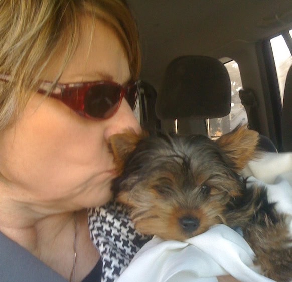 Should you KISS your Morkie?
