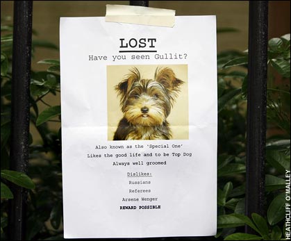 Dog Flipping – Danger!