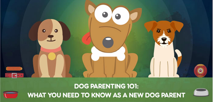 What you need to know as a new dog parent
