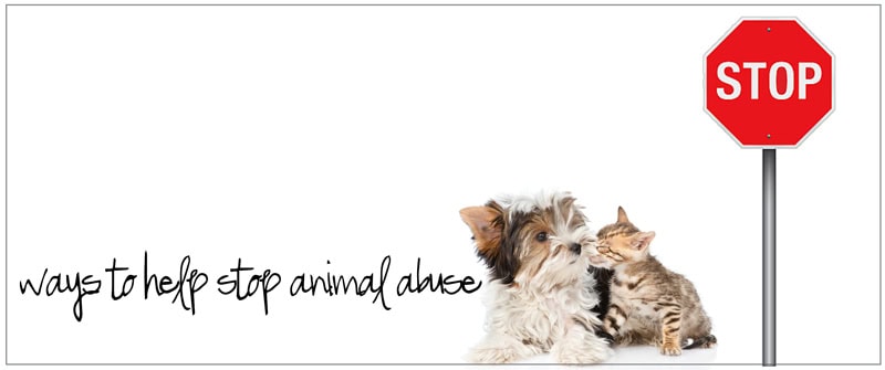 Animal Welfare Laws overdue for change