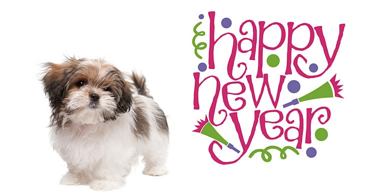 What are YOUR New Years Resolutions?