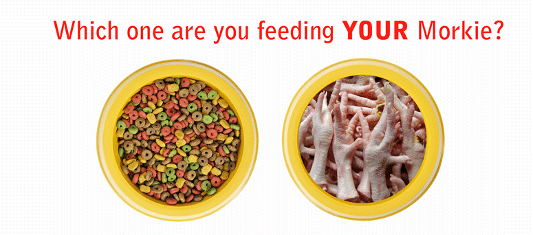 How to read a dog food label – Part I