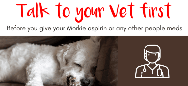 Can my Morkie take aspirin?