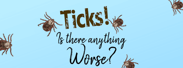 Ticks on Dogs