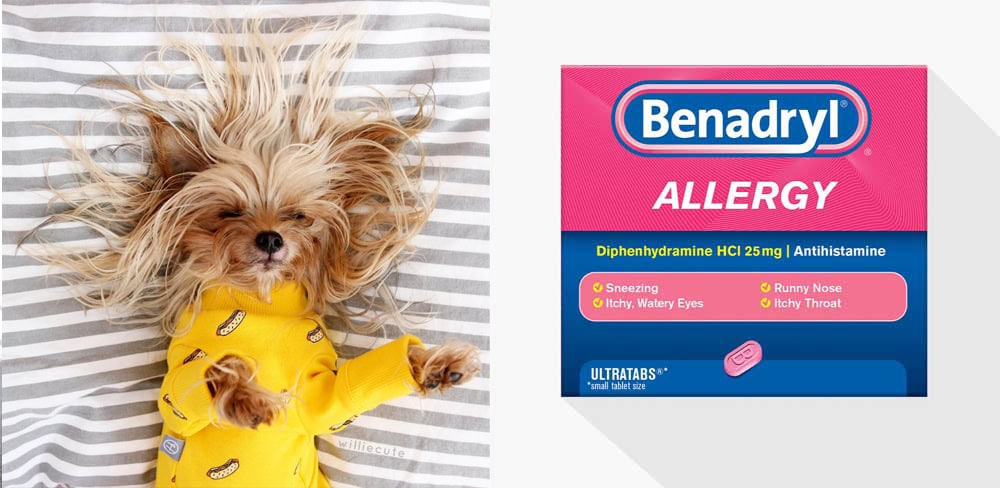 Is Benadryl safe for dogs?
