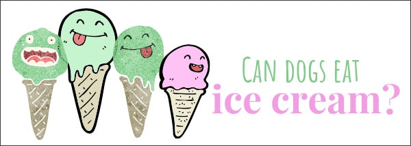 Can dogs eat ice cream?