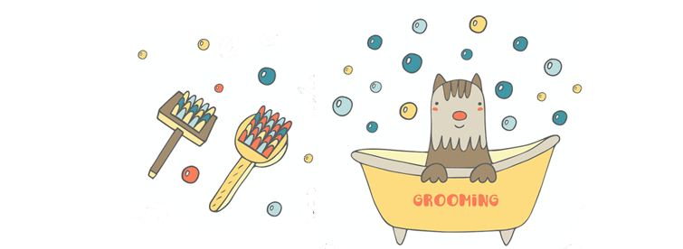 Bathtime! How to bathe your dog