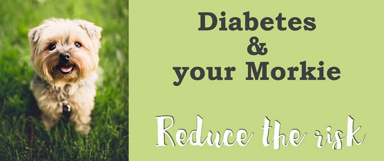 3 ways To Keep Your Dog From Getting Diabetes