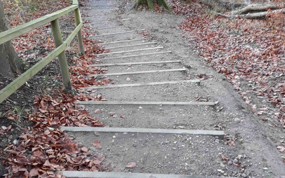 Leichten Schrittes Wandern auf dem Rundwanderweg Loiter Au – Füsinger Au