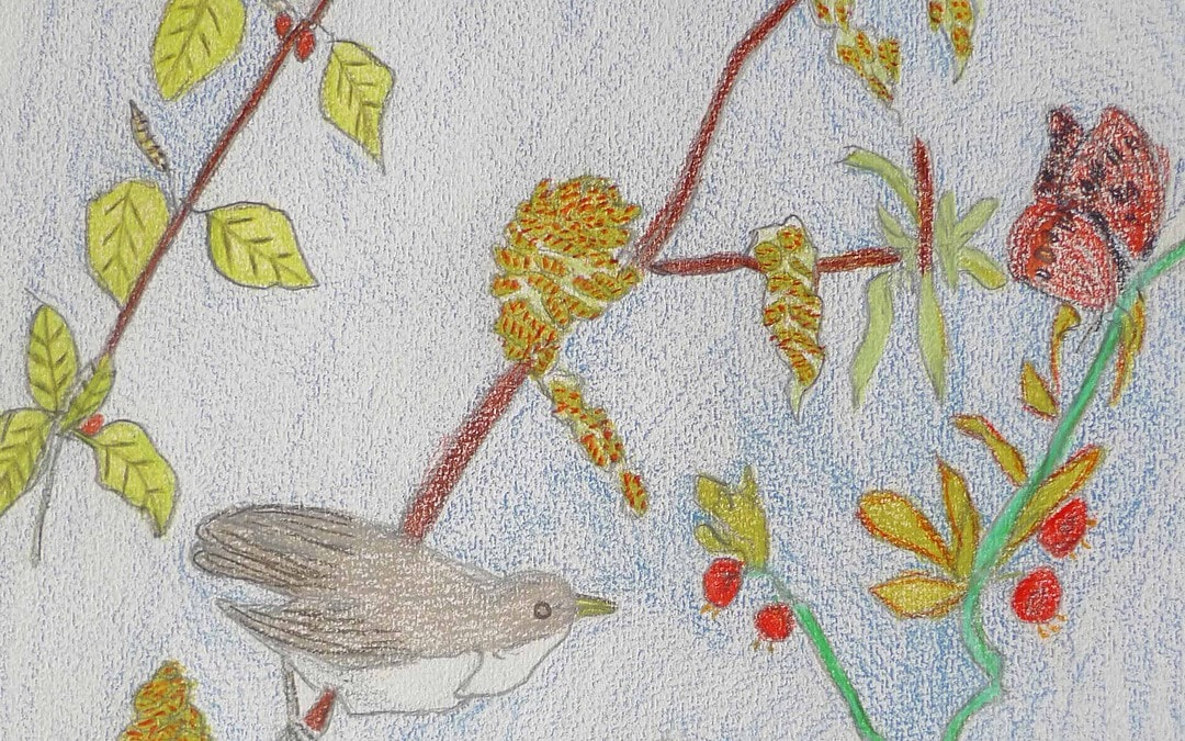 Tentoonstelling – Corné van der Wilk