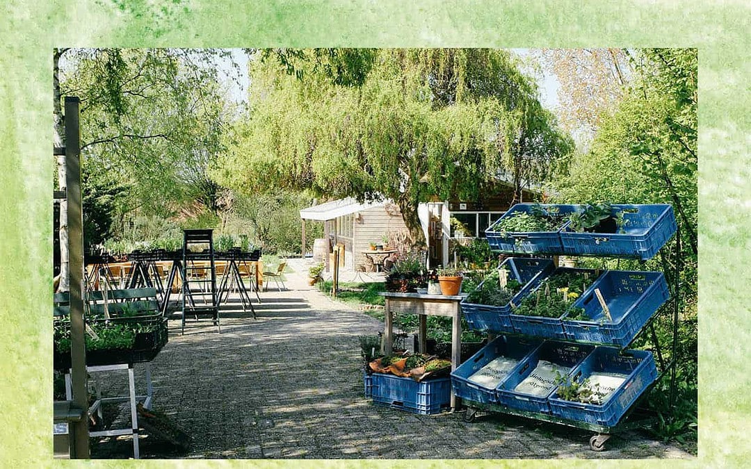 Karakteristieken van Mens en Tuin #1