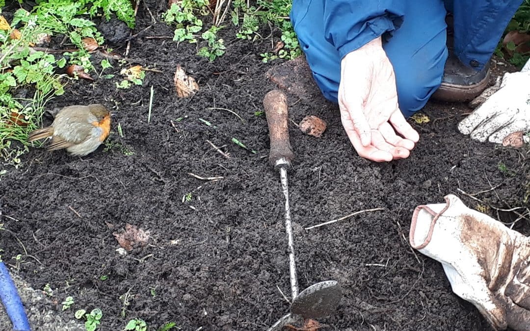 Nieuws van Mens en Tuin in het Park