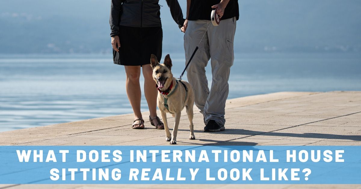 A Typical Day of International House Sitting with Pets (+ A Fun Video!)