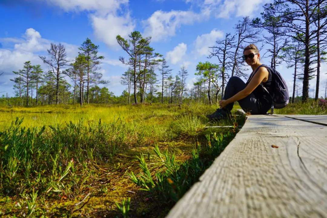 Boardwalk of the Viru bog, Lahemaa National Park, Estonia - Experiencing the Globe