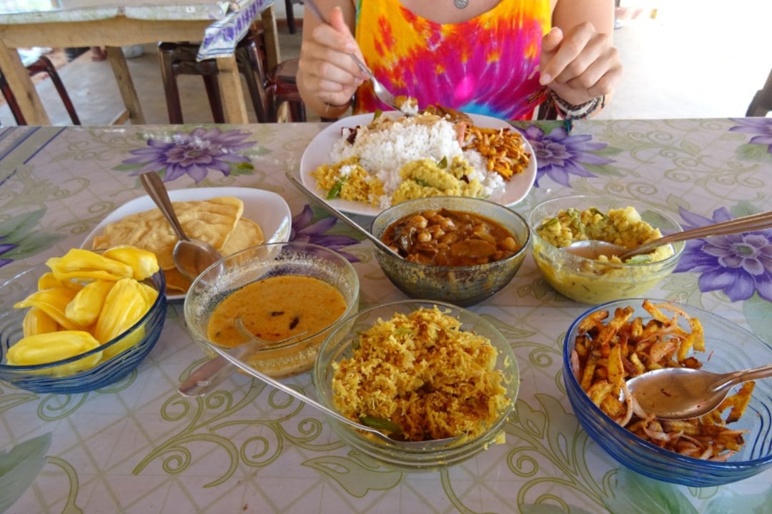 Sri Lanka, Josh & Sarah from Veggie Vagabonds