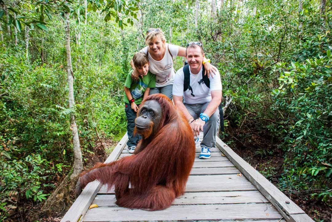 Tanjung-Puting-Orangutanes Tanjung-Puting-Orangutanes
