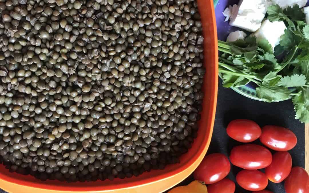 Kid friendly iron-rich lentil salad
