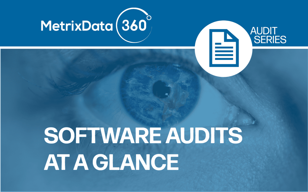 Microsoft, Oracle, IBM, and Adobe Software Audits at a Glance