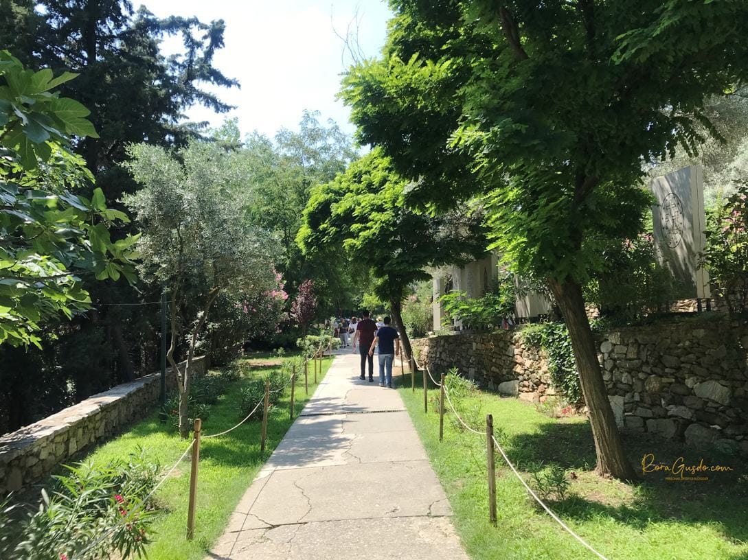 Jalan Setapak Menuju Arah Keluar dari House of Virgin Mary