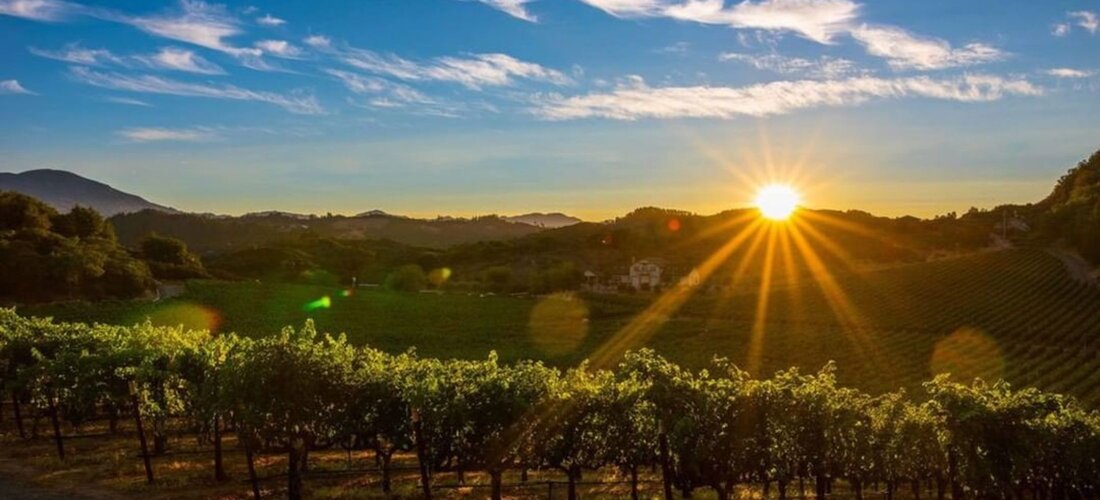 Stag's Leap Wine Cellars