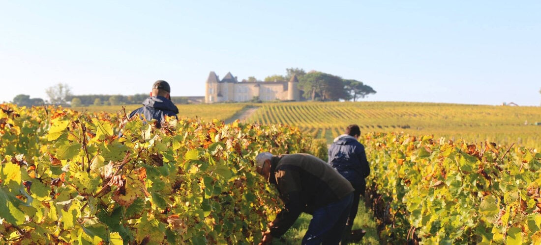 Château d’Yquem