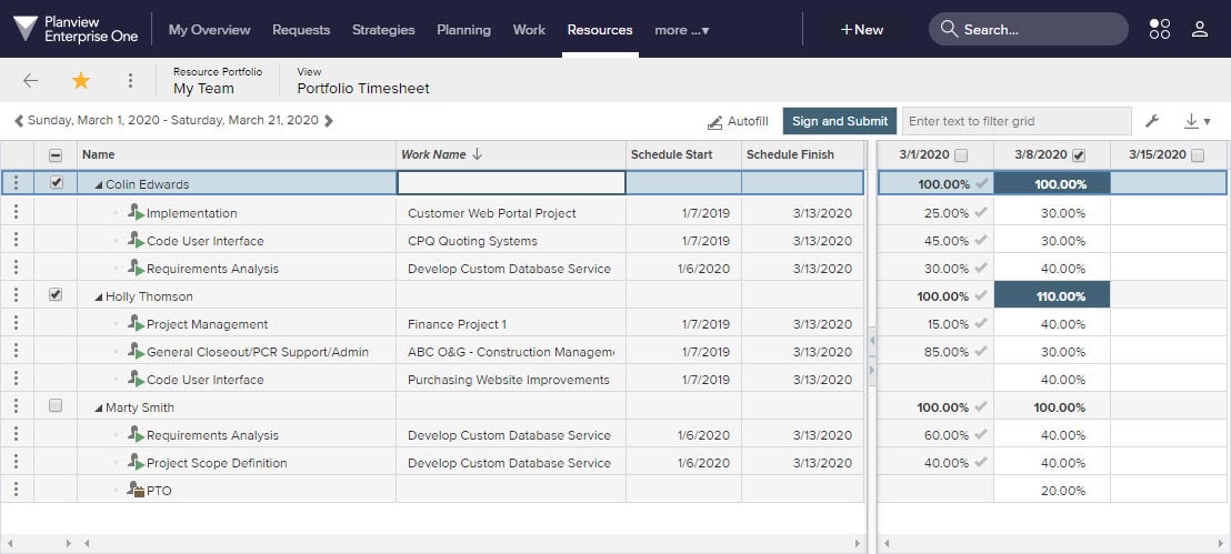 Portfolio-Timesheets-for-manager-level-time-reporting