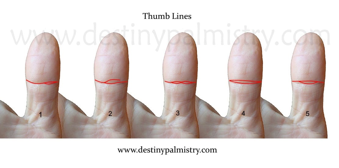 thumb lines, thumb crease, palmistry lines