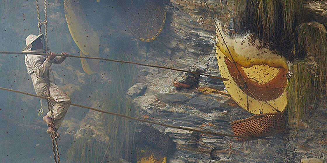 Honey Hunters Nepal